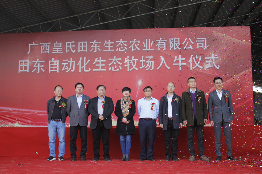 皇氏田東自動化生態(tài)牧場入牛儀式圓滿完成
