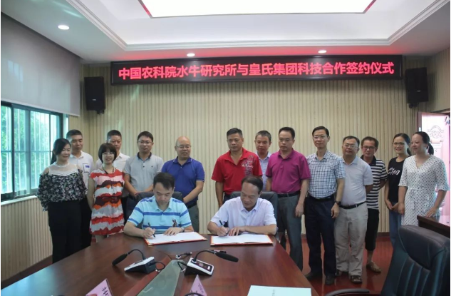 水牛奶產(chǎn)業(yè)將再上新臺(tái)階！中國(guó)農(nóng)業(yè)科學(xué)院水牛研究所與皇氏集團(tuán)科技合作簽約儀式圓滿(mǎn)成功！