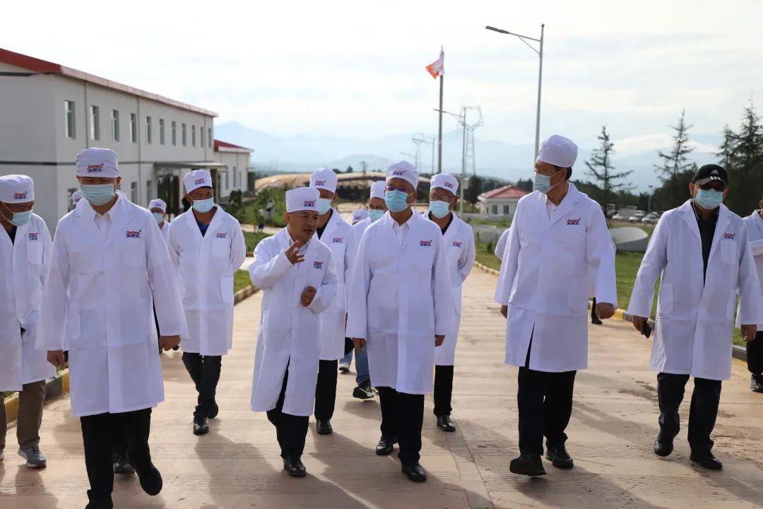 中電建集團(tuán)黨委副書記、總經(jīng)理王斌一行赴來思爾云端牧場考察調(diào)研