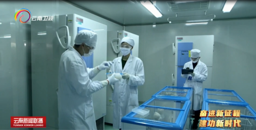 瞧！大理這杯奶，科技范兒十足