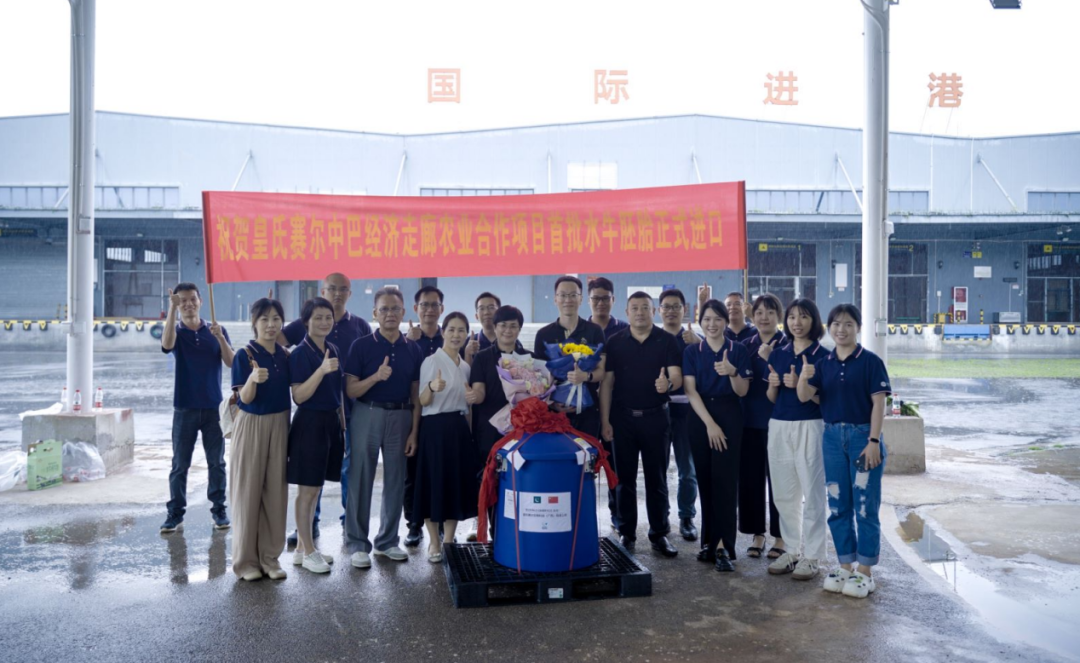 重磅！全國(guó)首批5000枚進(jìn)口巴基斯坦優(yōu)質(zhì)奶水牛胚胎入境，第一時(shí)間落戶皇氏集團(tuán)投入奶水牛改良繁育生產(chǎn)